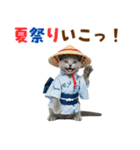 ロシアンブルー子猫の夏でか文字（個別スタンプ：30）