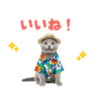 ロシアンブルー子猫の夏でか文字（個別スタンプ：33）
