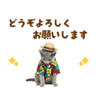 ロシアンブルー子猫の夏でか文字（個別スタンプ：38）