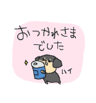 黒いミニチュアダックスフンド（個別スタンプ：3）