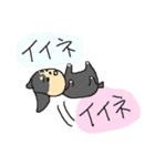 黒いミニチュアダックスフンド（個別スタンプ：15）