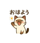 ぱんちゃんスタンプ3（個別スタンプ：1）