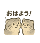 ふわふわマヌルの日常スタンプ（個別スタンプ：1）