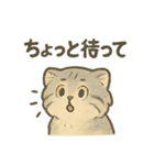 ふわふわマヌルの日常スタンプ（個別スタンプ：4）