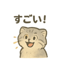 ふわふわマヌルの日常スタンプ（個別スタンプ：6）