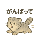 ふわふわマヌルの日常スタンプ（個別スタンプ：7）
