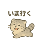 ふわふわマヌルの日常スタンプ（個別スタンプ：11）
