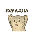 ふわふわマヌルの日常スタンプ（個別スタンプ：13）