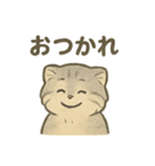 ふわふわマヌルの日常スタンプ（個別スタンプ：16）