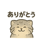 ふわふわマヌルの日常スタンプ（個別スタンプ：18）