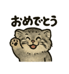 いろななマヌルのスタンプ（個別スタンプ：1）