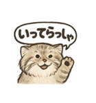 いろななマヌルのスタンプ（個別スタンプ：2）