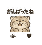 いろななマヌルのスタンプ（個別スタンプ：4）
