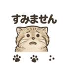 いろななマヌルのスタンプ（個別スタンプ：5）
