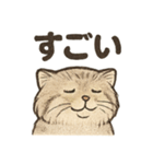 いろななマヌルのスタンプ（個別スタンプ：10）