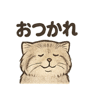 いろななマヌルのスタンプ（個別スタンプ：11）