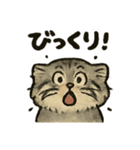 いろななマヌルのスタンプ（個別スタンプ：12）