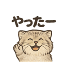 いろななマヌルのスタンプ（個別スタンプ：13）