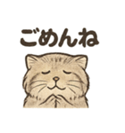 いろななマヌルのスタンプ（個別スタンプ：14）
