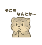 いろななマヌルのスタンプ（個別スタンプ：16）