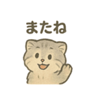 いろななマヌルのスタンプ（個別スタンプ：17）