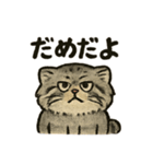 いろななマヌルのスタンプ（個別スタンプ：18）