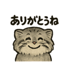 いろななマヌルのスタンプ（個別スタンプ：22）