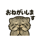いろななマヌルのスタンプ（個別スタンプ：23）