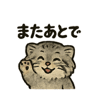 いろななマヌルのスタンプ（個別スタンプ：24）