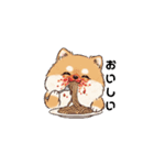 文字ありver. ポメラニアン（日常使い）（個別スタンプ：4）