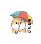 文字ありver. ポメラニアン（日常使い）（個別スタンプ：8）