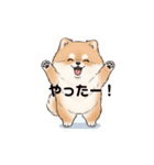 文字ありver. ポメラニアン（日常使い）（個別スタンプ：17）