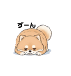 文字ありver. ポメラニアン（日常使い）（個別スタンプ：20）