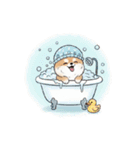 文字ありver. ポメラニアン（日常使い）（個別スタンプ：24）