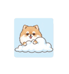 文字ありver. ポメラニアン（日常使い）（個別スタンプ：27）