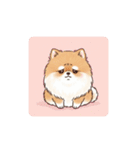 文字ありver. ポメラニアン（日常使い）（個別スタンプ：31）