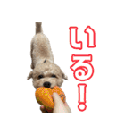 ふくスタンプ3号（個別スタンプ：7）