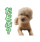 ふくスタンプ3号（個別スタンプ：9）