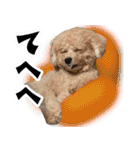 ふくスタンプ3号（個別スタンプ：15）
