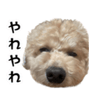 ふくスタンプ3号（個別スタンプ：20）