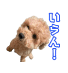 ふくスタンプ3号（個別スタンプ：27）