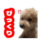 ふくスタンプ3号（個別スタンプ：32）