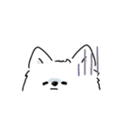 サモエドさんの顔（個別スタンプ：2）