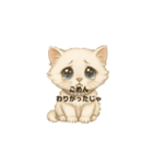 めごい猫の津軽弁（個別スタンプ：5）