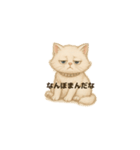 めごい猫の津軽弁（個別スタンプ：6）