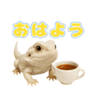 フトアゴの日常.（個別スタンプ：1）