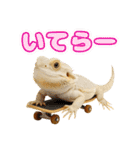 フトアゴの日常.（個別スタンプ：5）