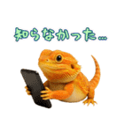 フトアゴの日常.（個別スタンプ：17）