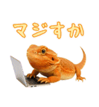 フトアゴの日常.（個別スタンプ：18）
