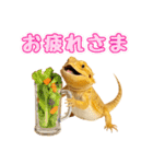フトアゴの日常.（個別スタンプ：20）